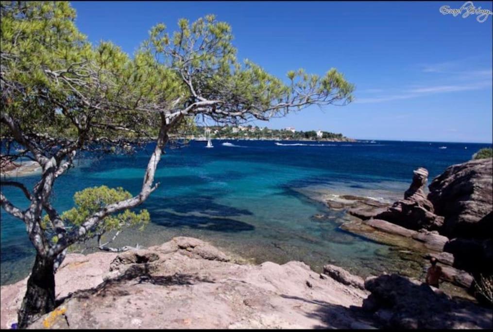 Chaleureux Appartement Face Au Port Sta Lucia, Tout A Pieds, Wifi Сен-Рафаель Екстер'єр фото