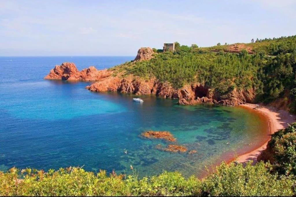 Chaleureux Appartement Face Au Port Sta Lucia, Tout A Pieds, Wifi Сен-Рафаель Екстер'єр фото